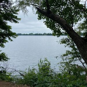 Meet your Posher, Bailey